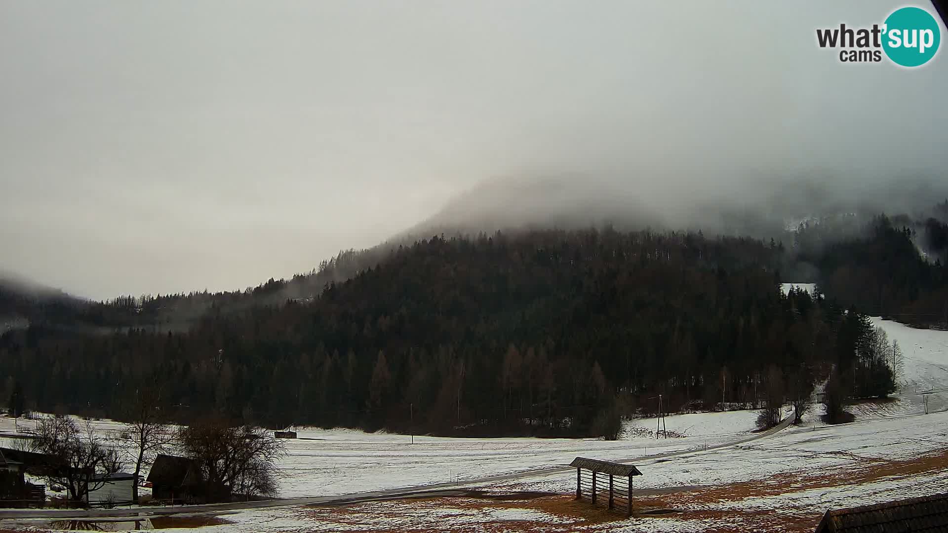 Gozd Martuljek – Špikova skupina