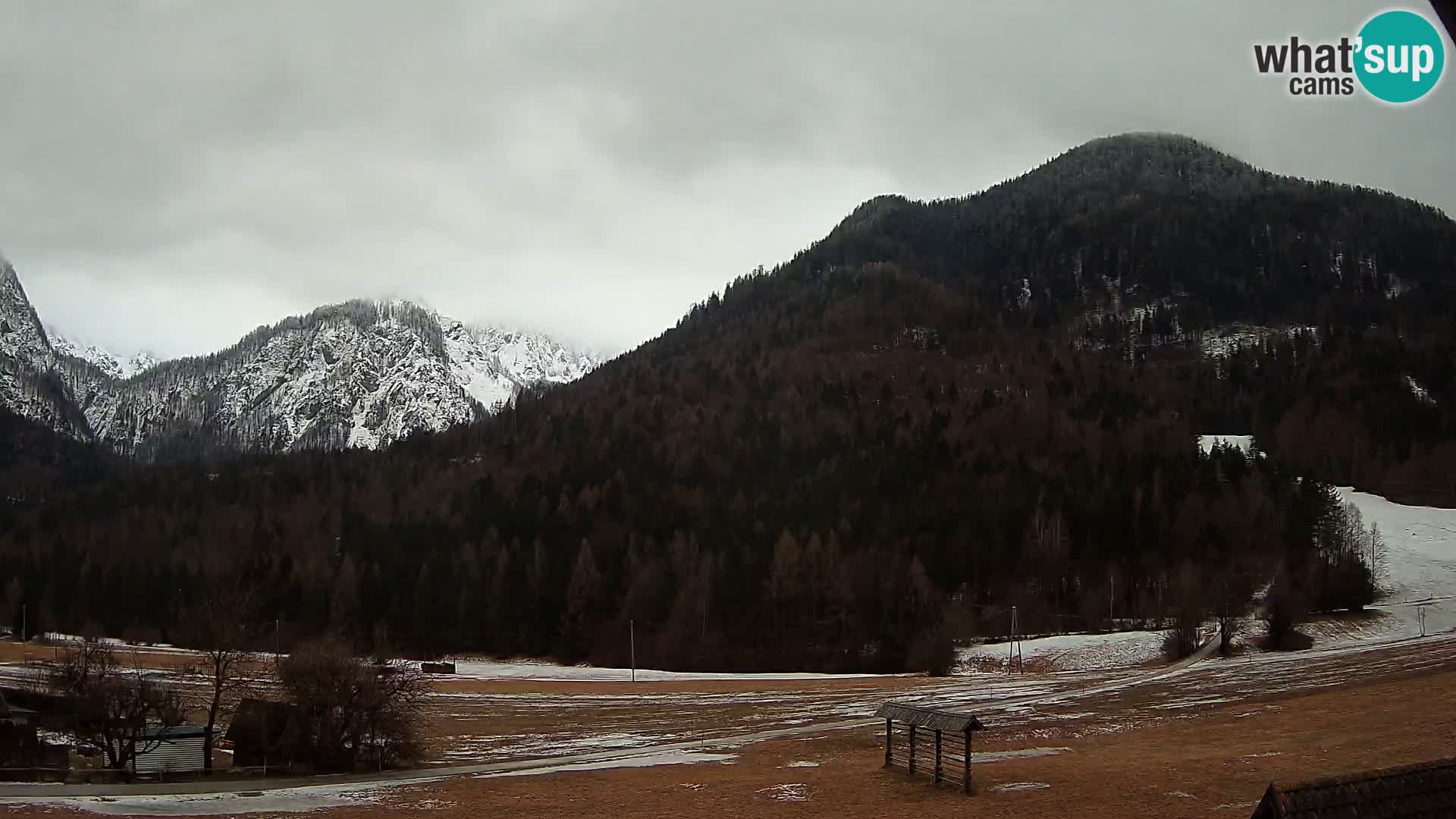 Gozd Martuljek –  planinski lanac Špik