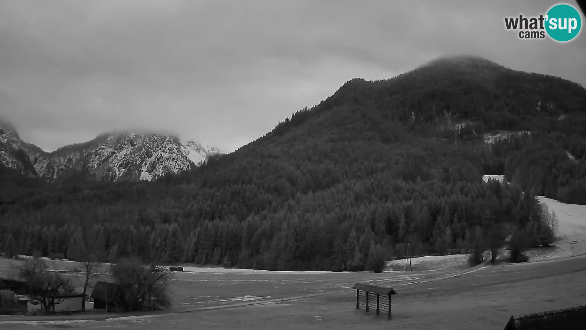 Gozd Martuljek – Špik Mountain Group