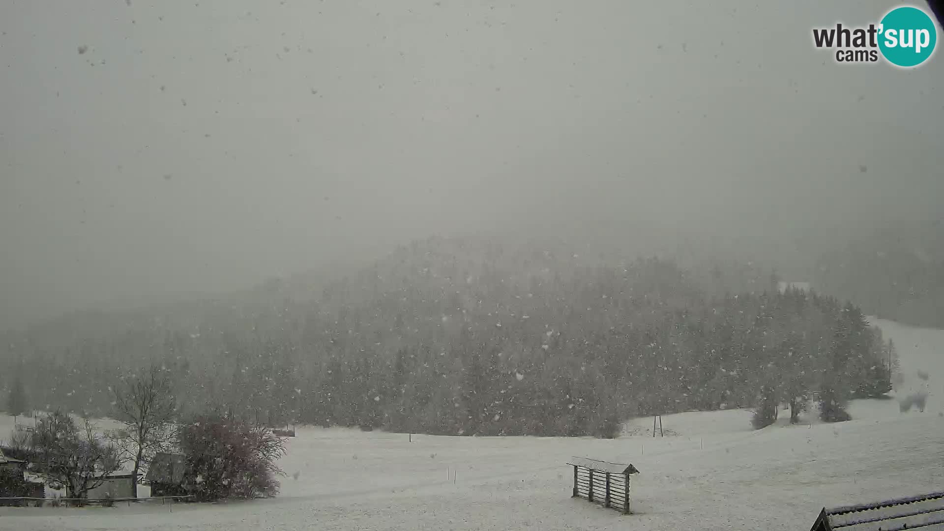 Gozd Martuljek – el grupo Špik