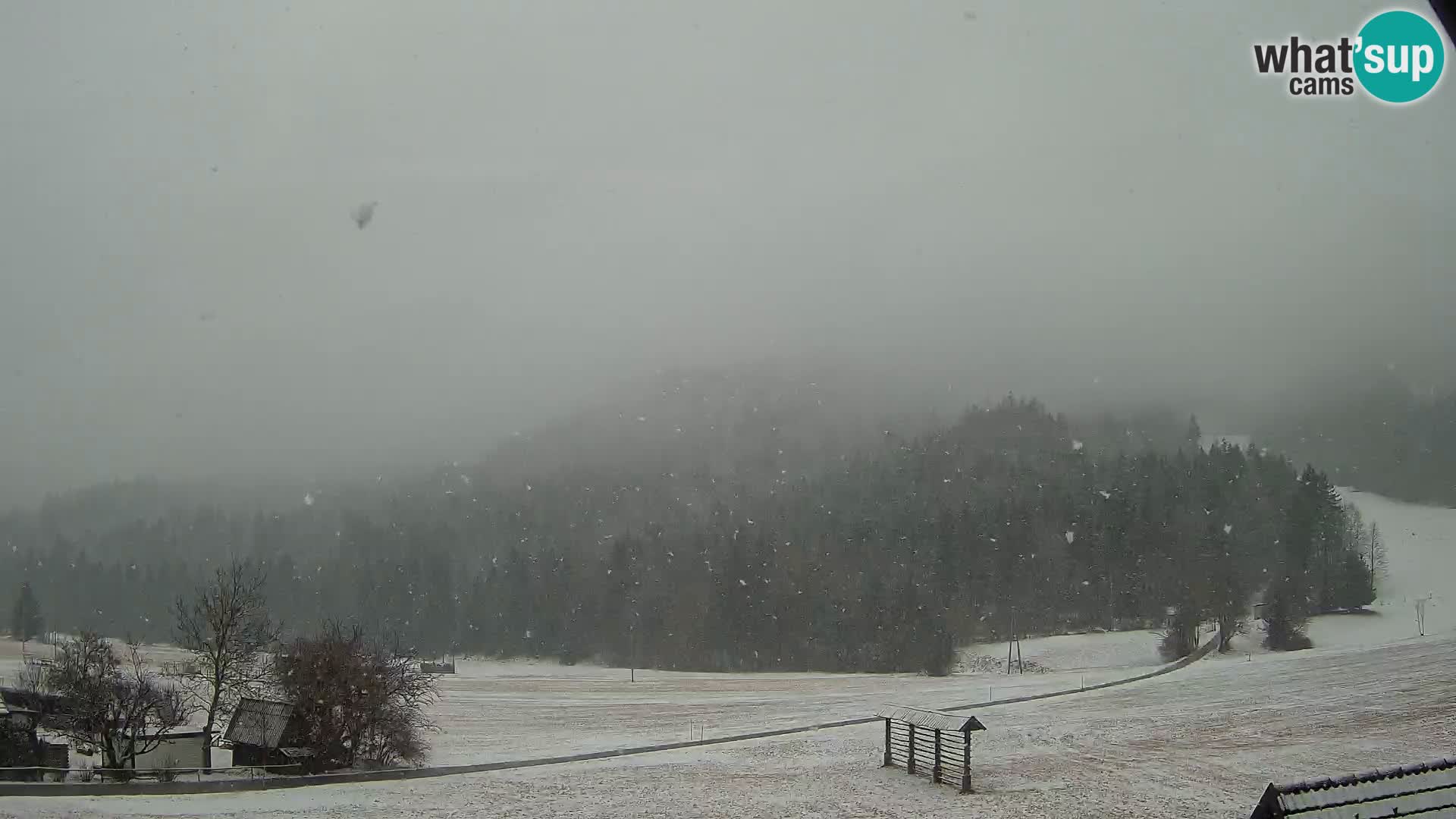 Gozd Martuljek – el grupo Špik