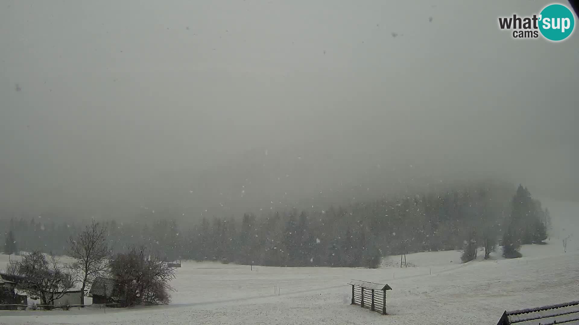 Gozd Martuljek – Špik Mountain Group