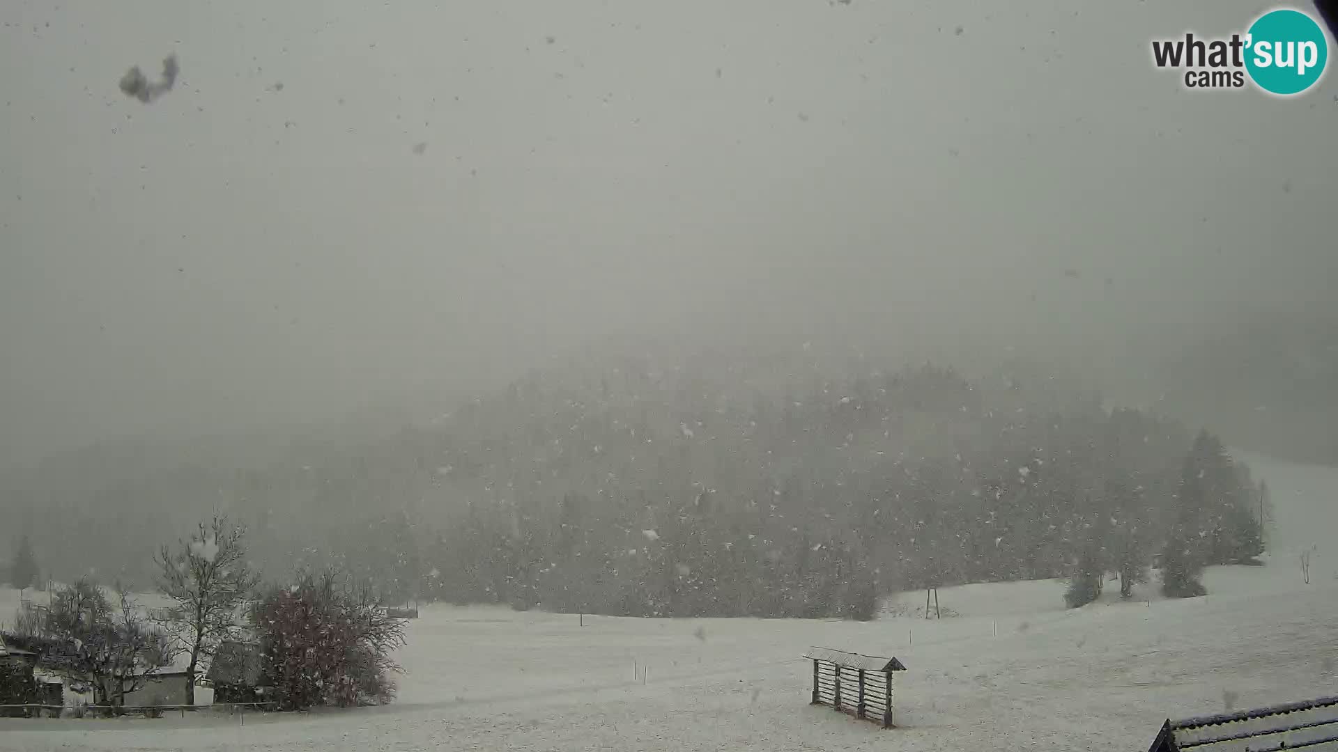 Gozd Martuljek – Špik Mountain Group