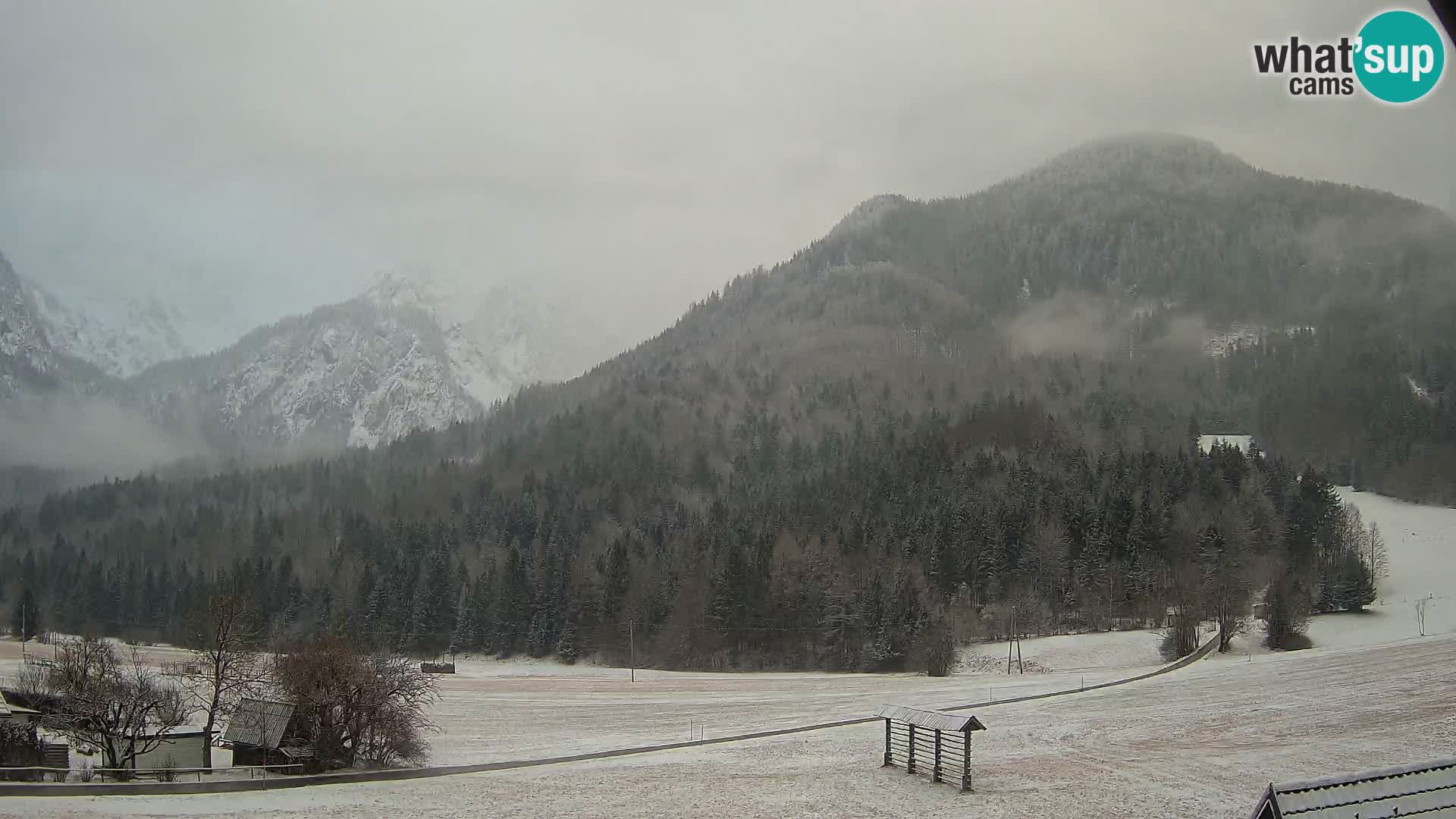 Gozd Martuljek – Špik Mountain Group