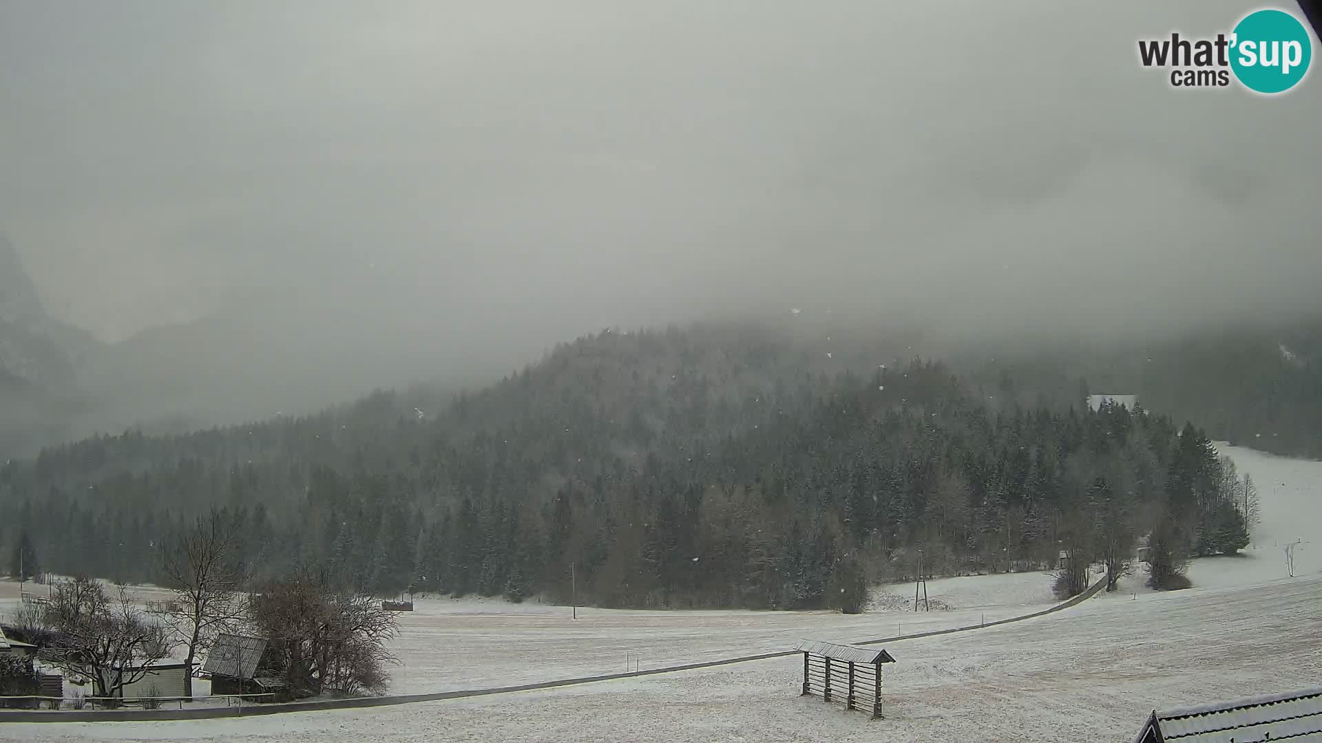 Gozd Martuljek – Špik Mountain Group