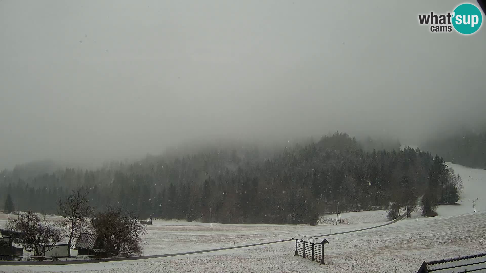 Gozd Martuljek – Špikova skupina