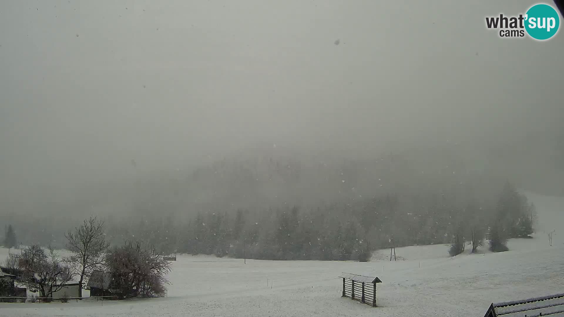 Gozd Martuljek – el grupo Špik