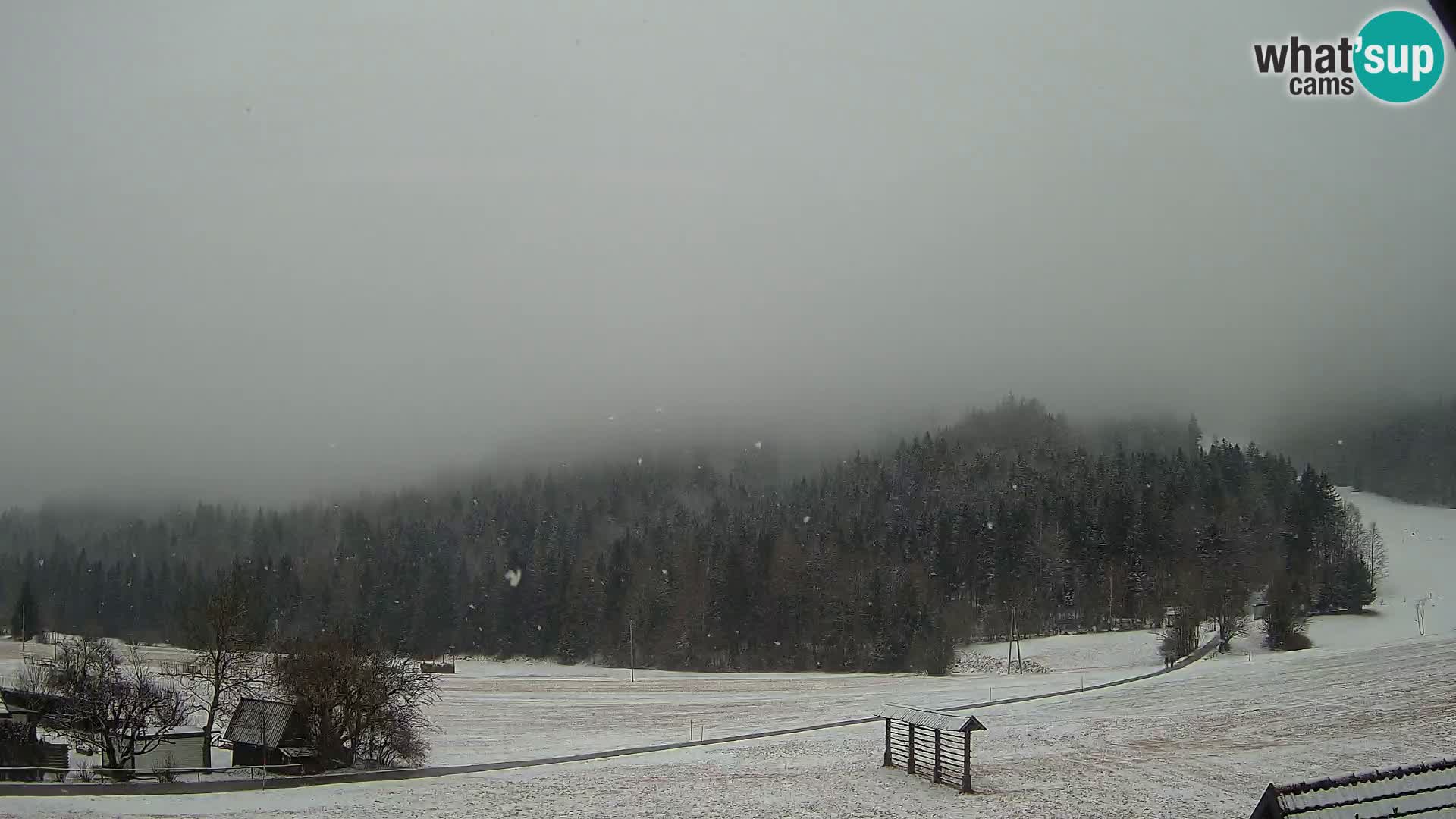 Gozd Martuljek – Špik Mountain Group