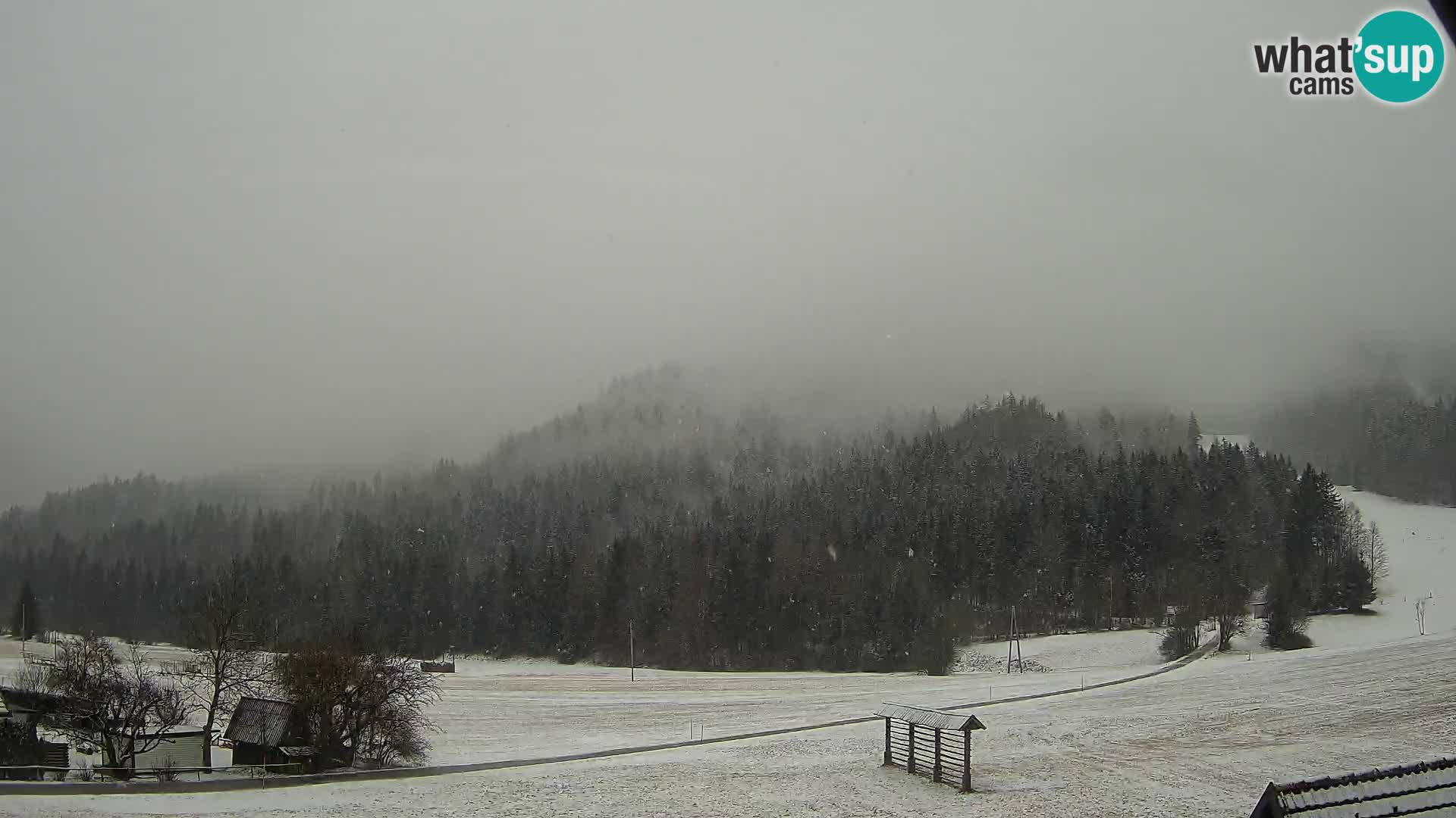 Gozd Martuljek – Špikova skupina