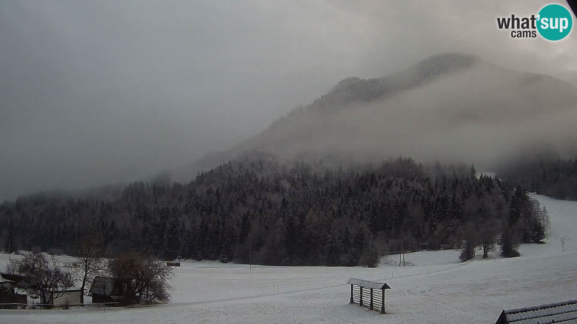 Gozd Martuljek – Špikova skupina