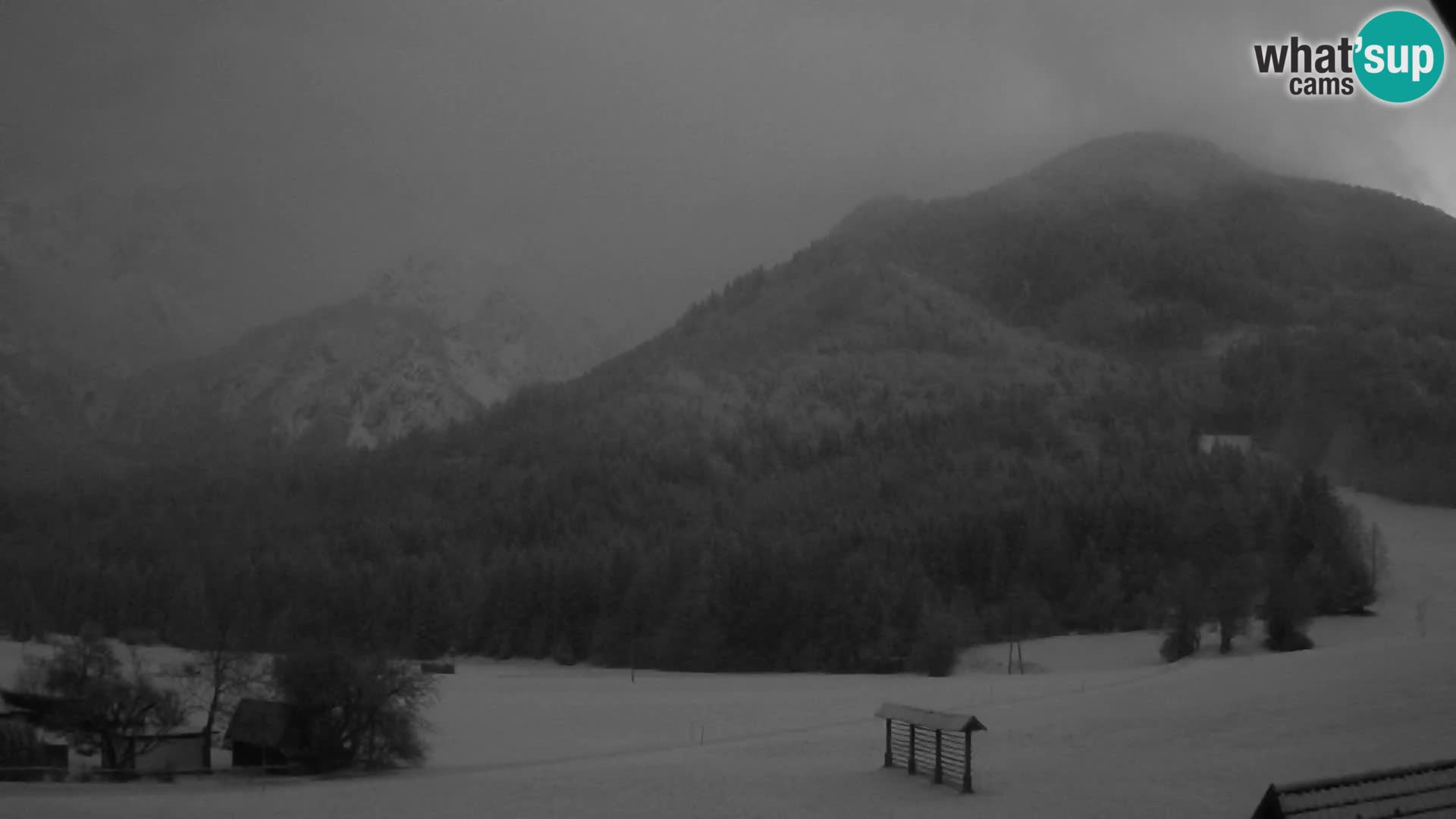 Gozd Martuljek – Špik Mountain Group