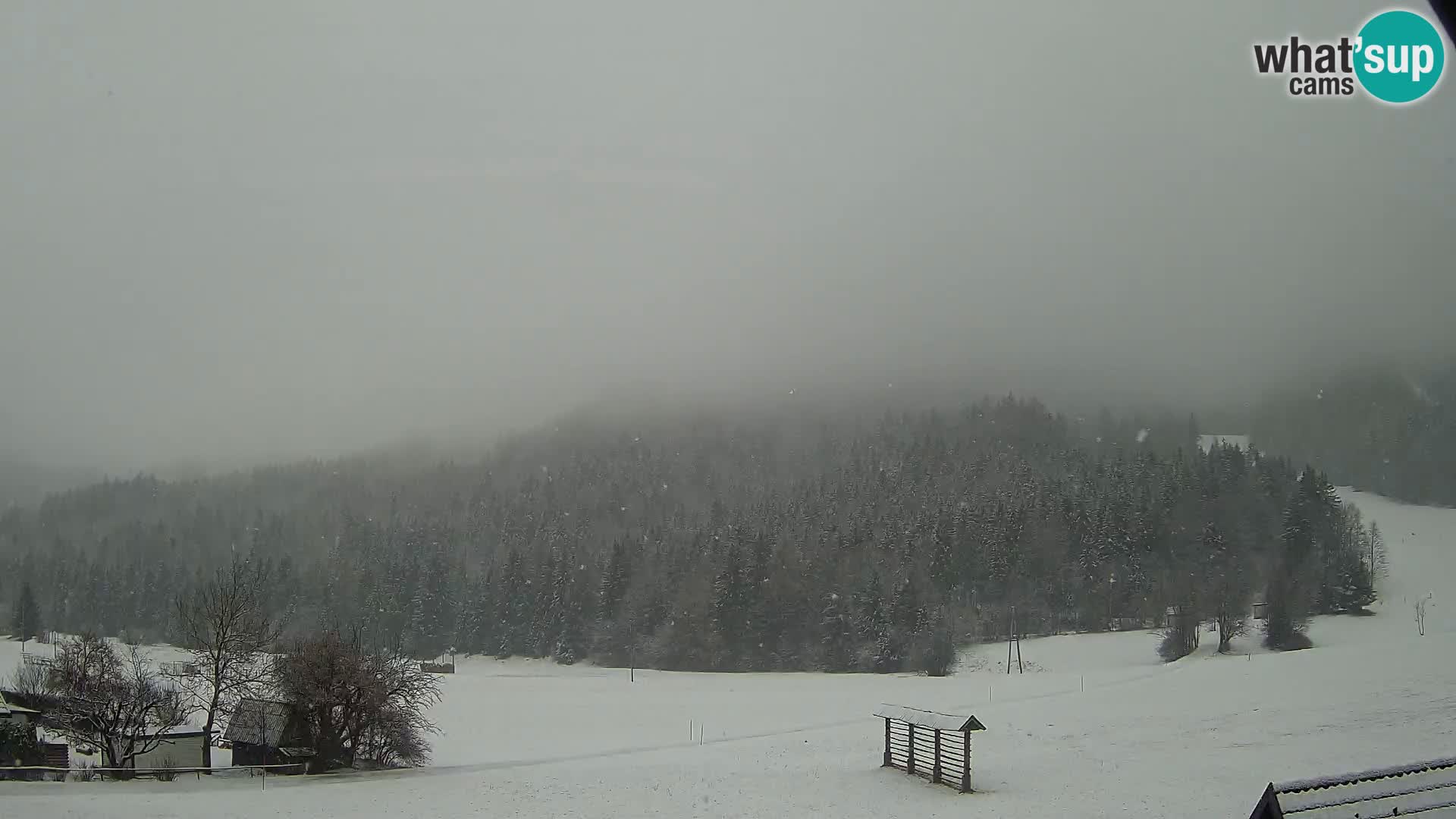 Gozd Martuljek – Špik Mountain Group