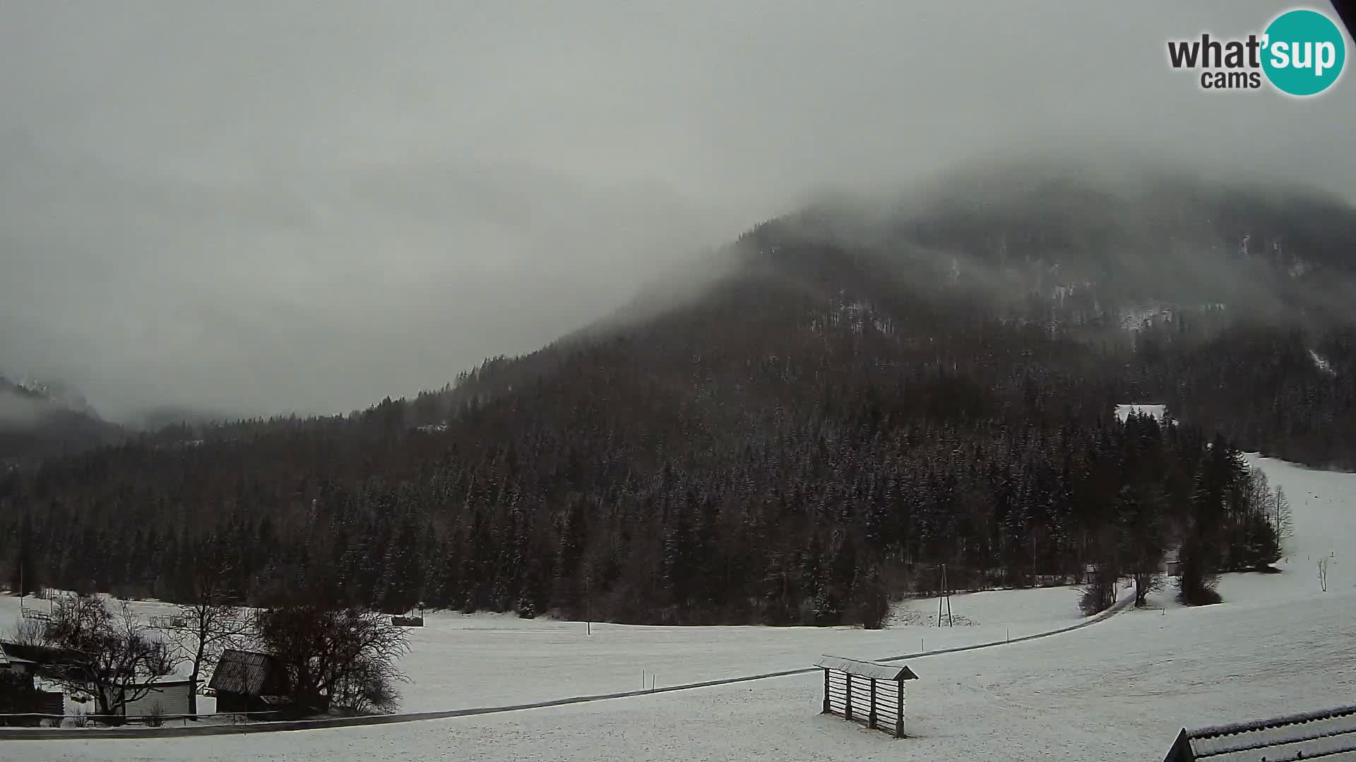 Gozd Martuljek – Špik Mountain Group