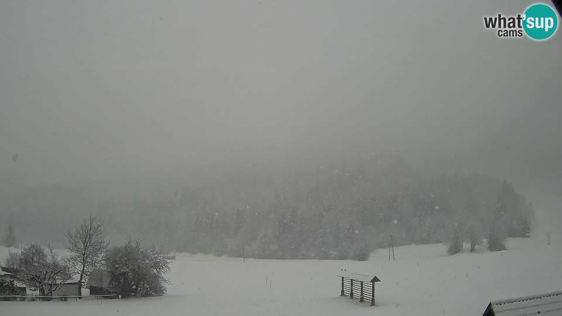 Gozd Martuljek – el grupo Špik