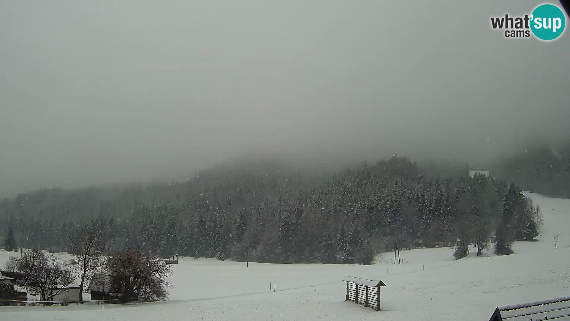 Gozd Martuljek – Špik Mountain Group