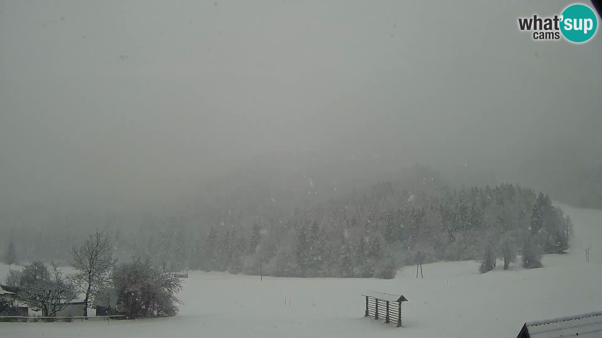 Gozd Martuljek – Špikova skupina