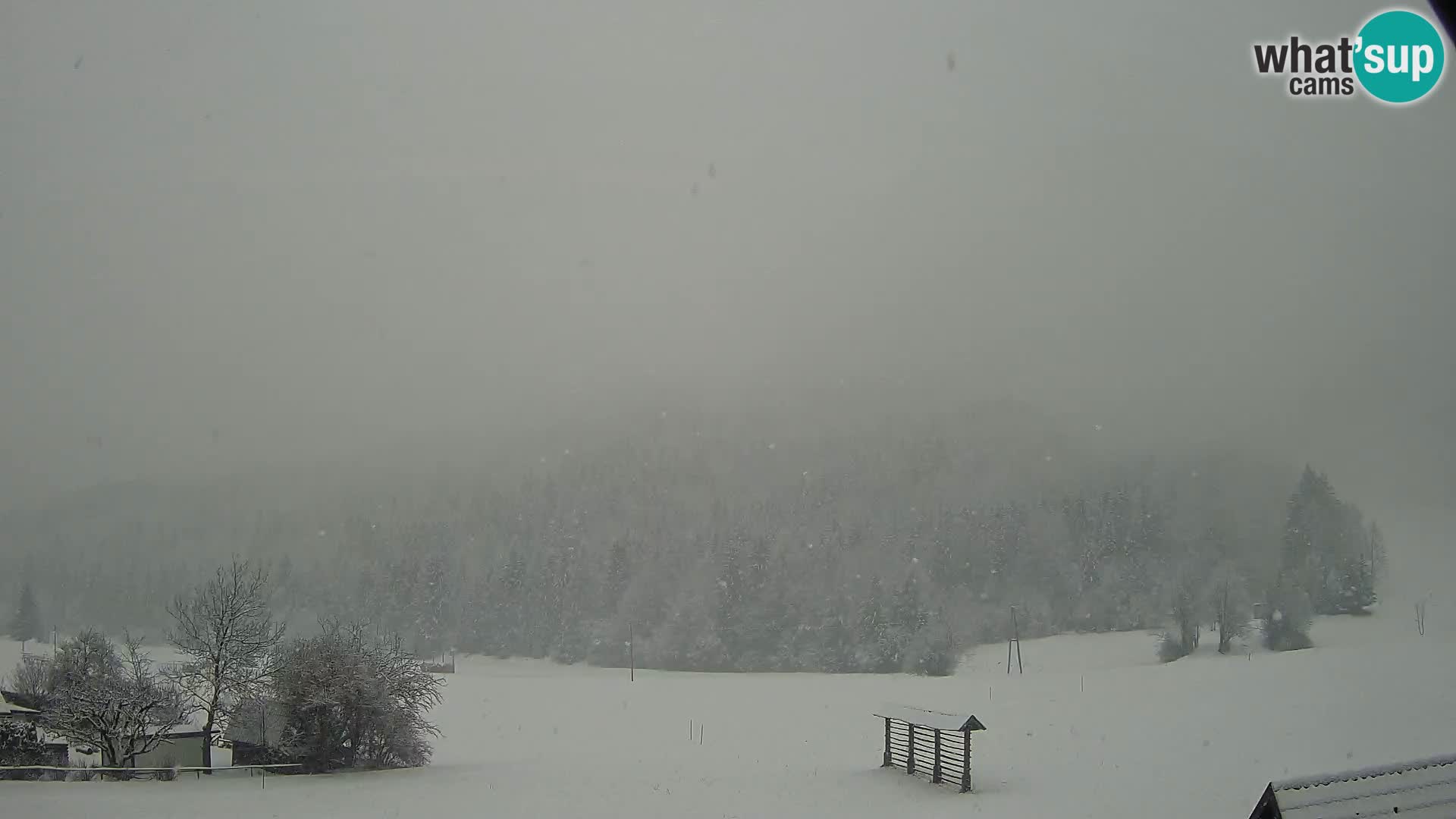 Gozd Martuljek – Špik Mountain Group