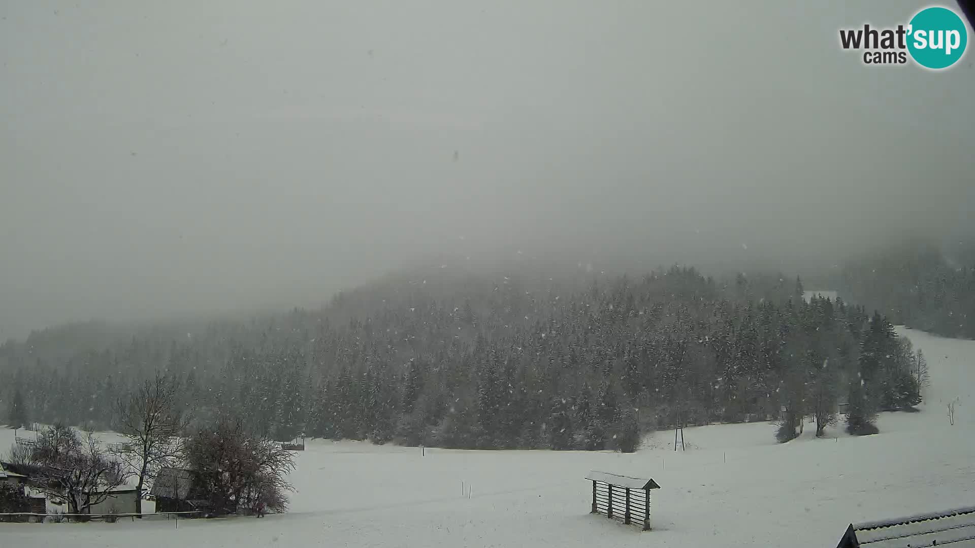 Gozd Martuljek – Špik-Gruppe