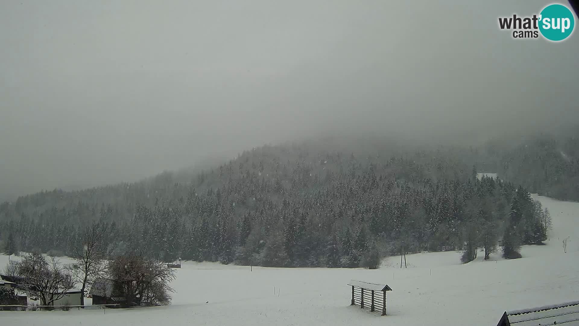 Gozd Martuljek – el grupo Špik