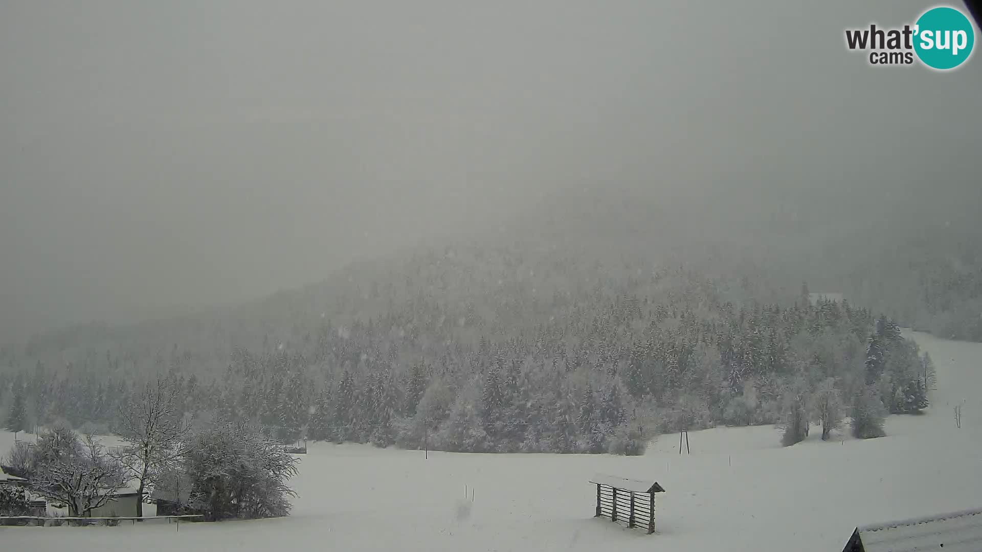 Gozd Martuljek – Špikova skupina