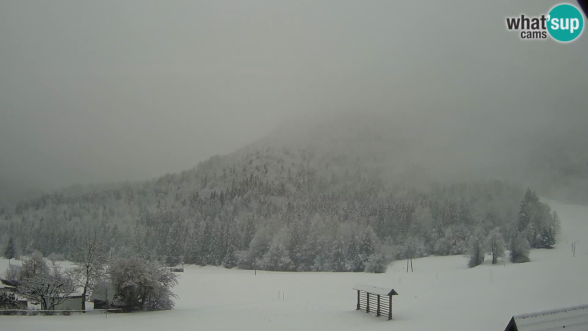Gozd Martuljek – Špikova skupina