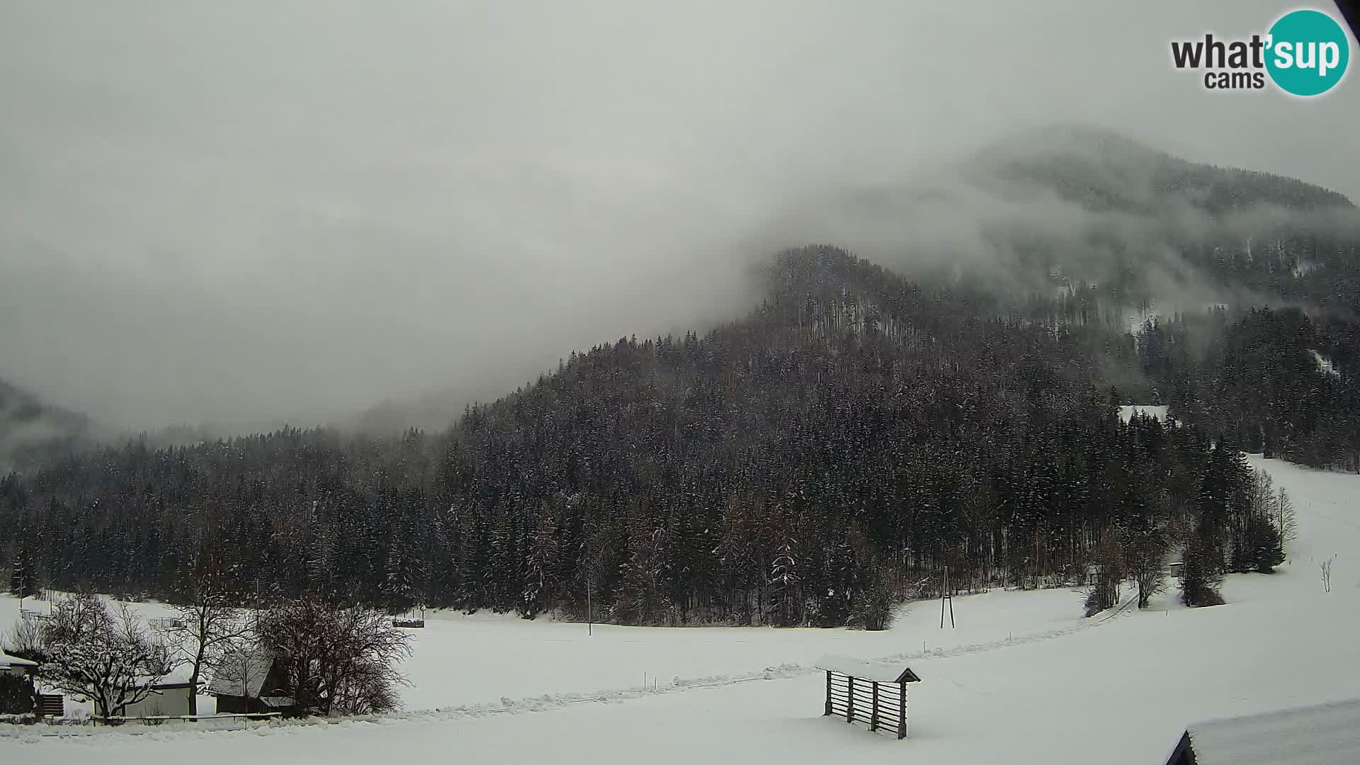 Gozd Martuljek – Špik Mountain Group