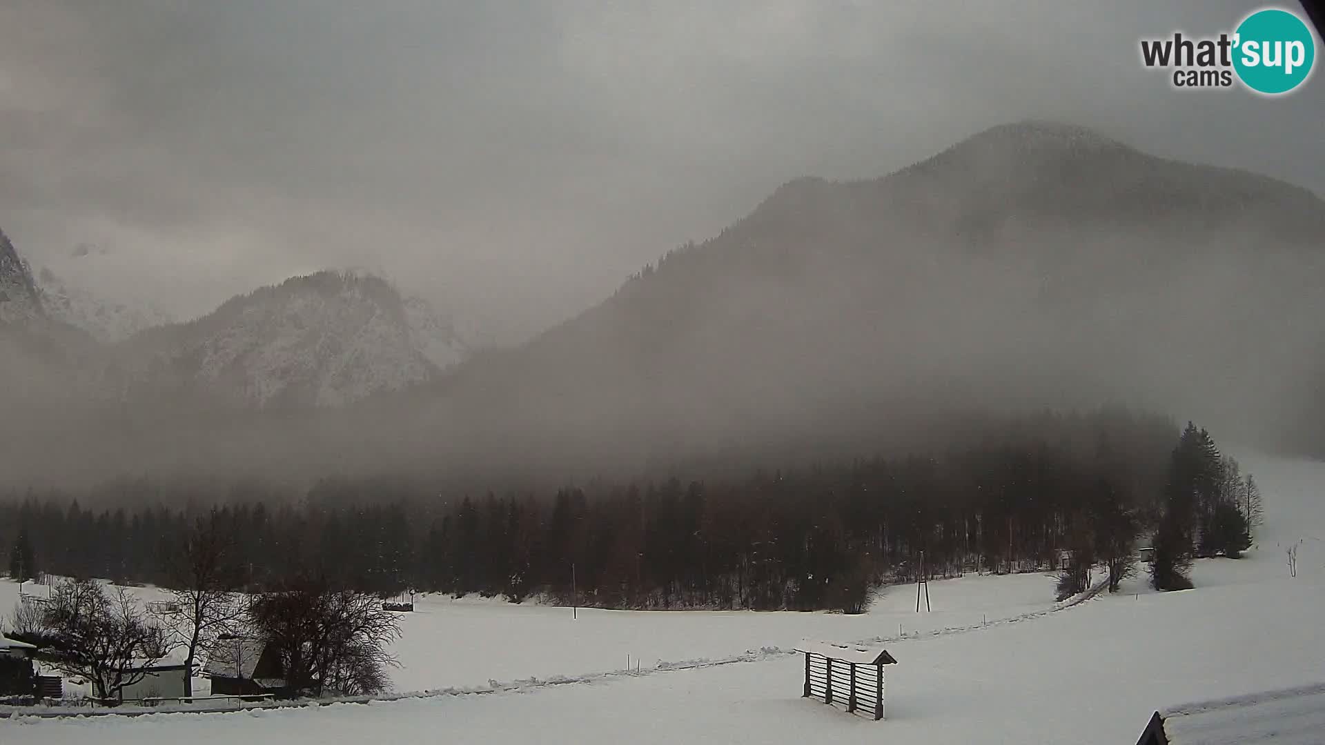 Gozd Martuljek – Špik Mountain Group