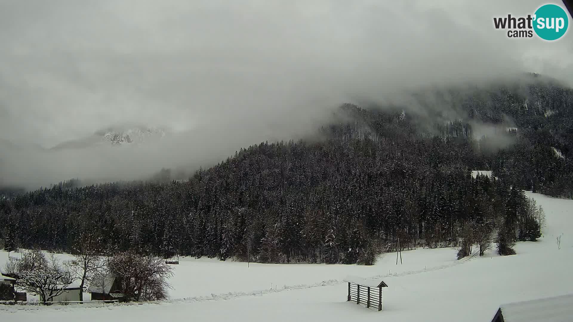 Gozd Martuljek – Špik Mountain Group