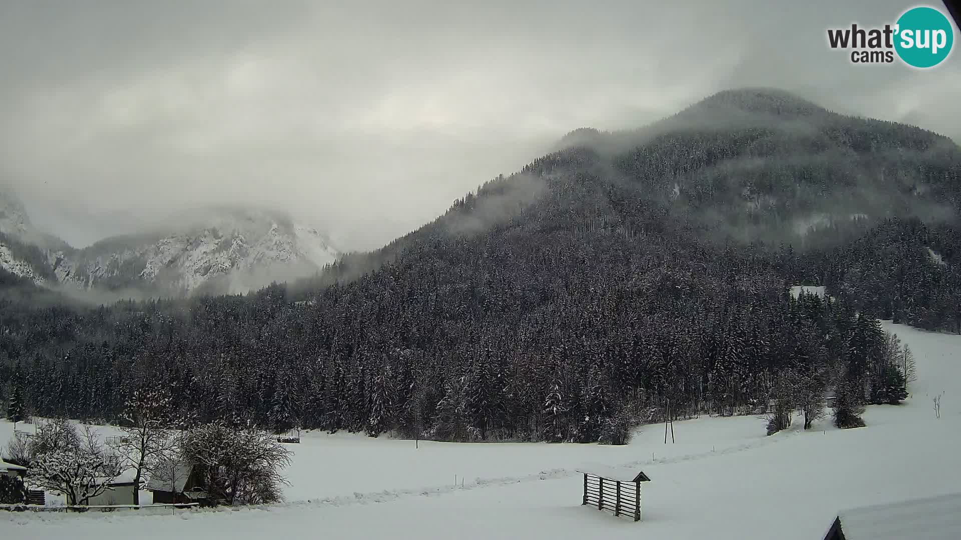 Gozd Martuljek – Špik-Gruppe