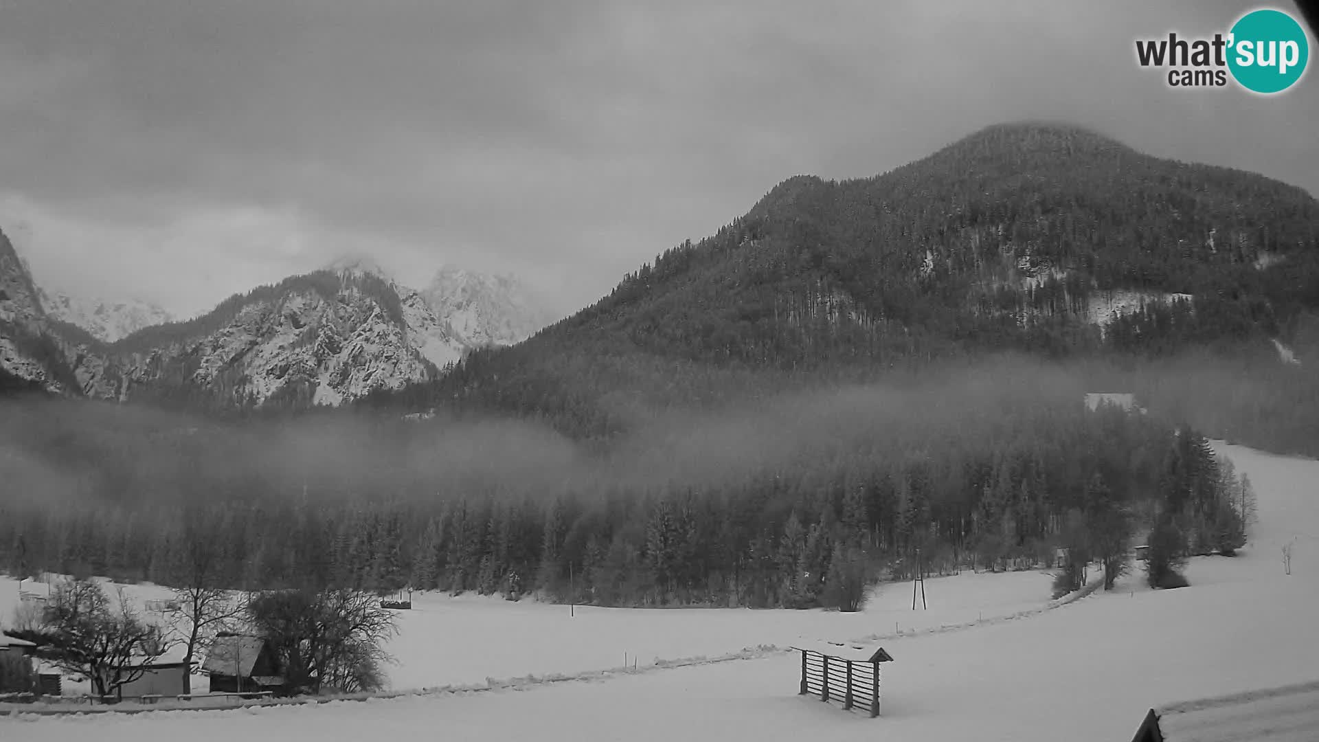 Gozd Martuljek – Špik Mountain Group