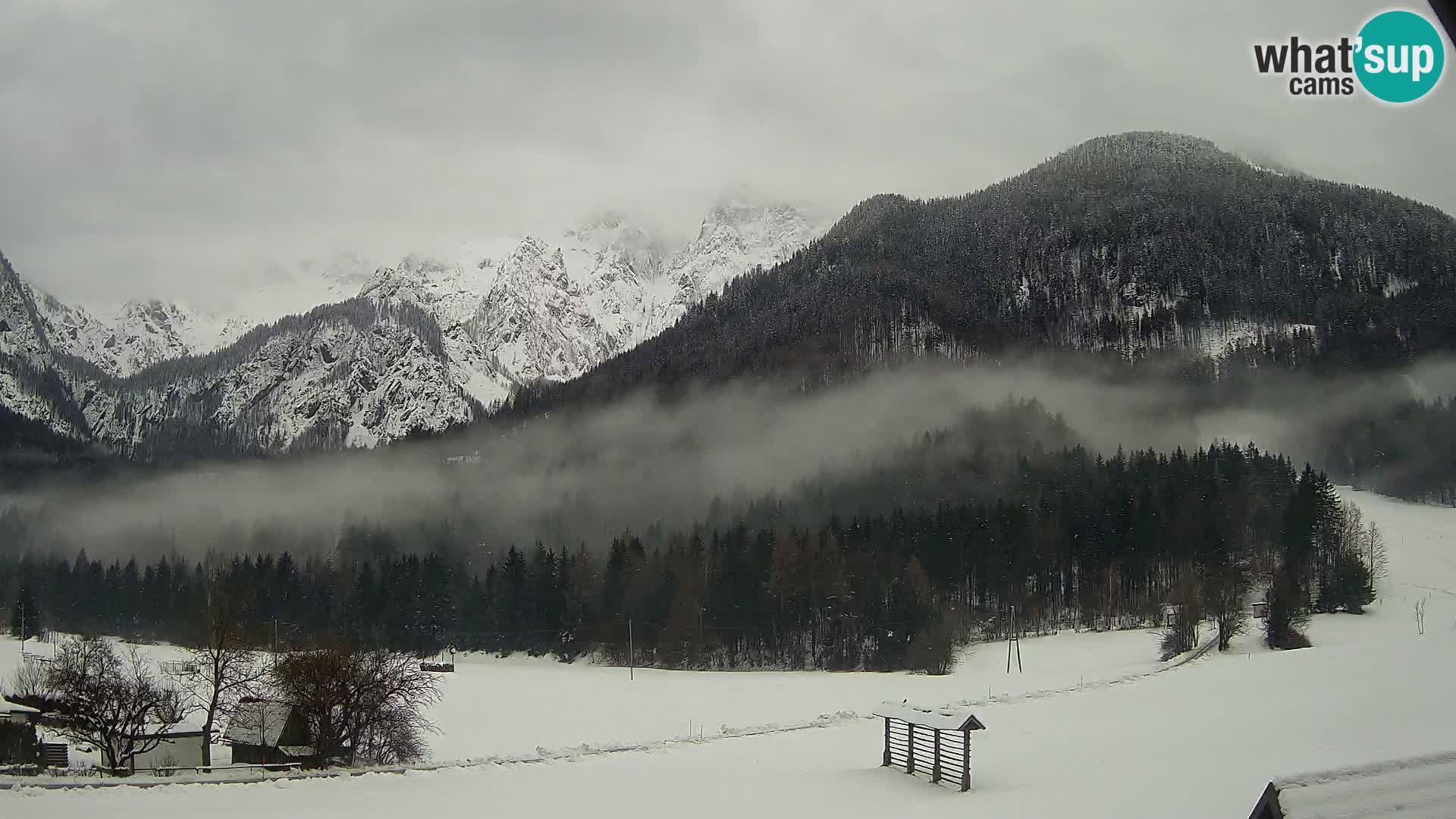 Gozd Martuljek – Špikova skupina