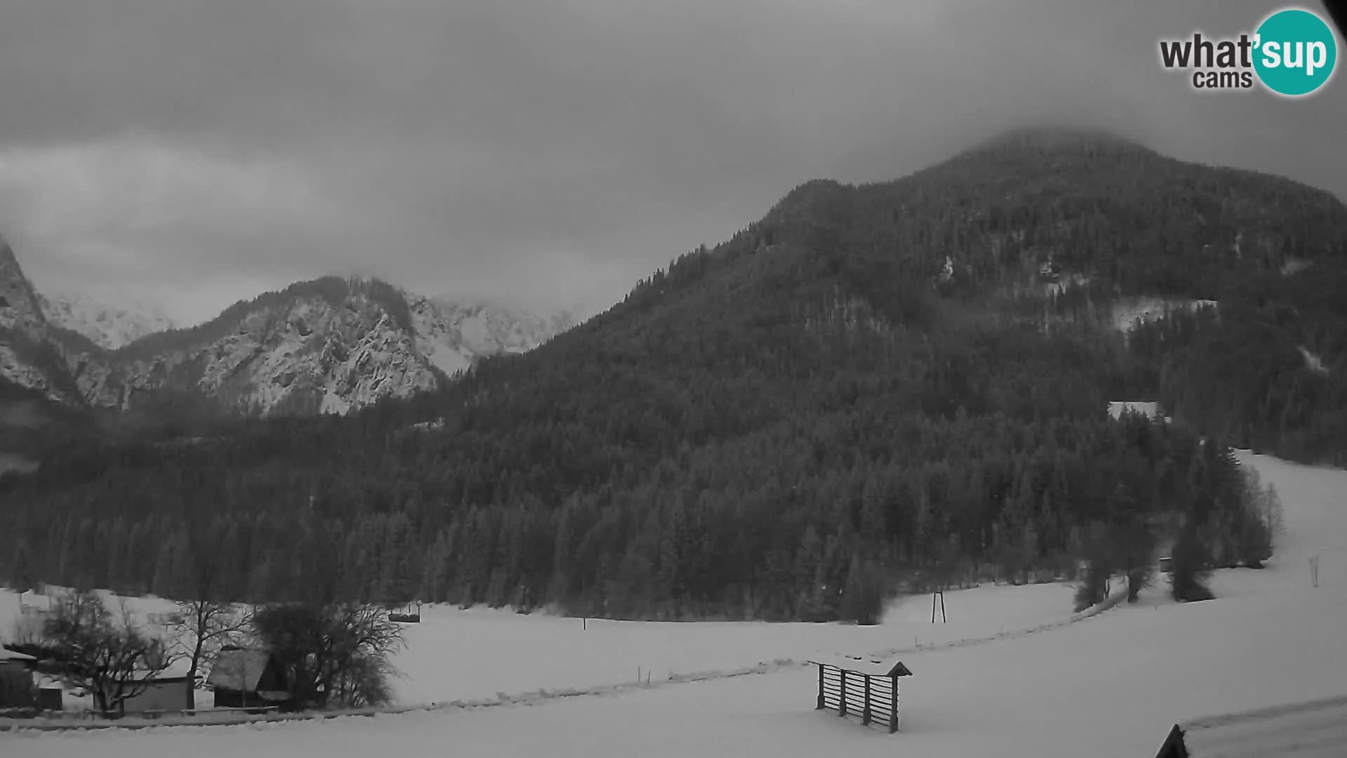 Gozd Martuljek – Špik Mountain Group