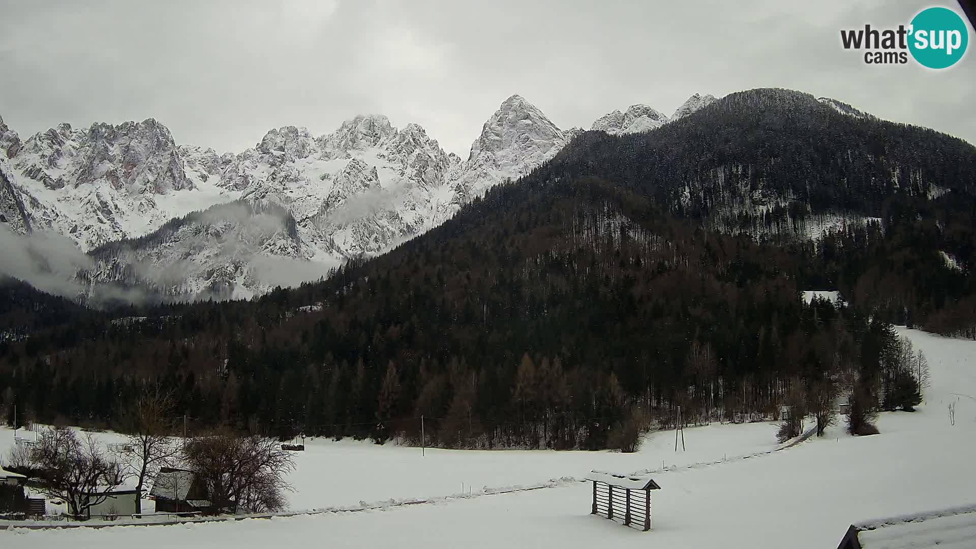 Gozd Martuljek – Špik Mountain Group