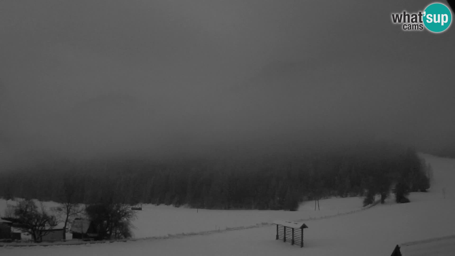 Gozd Martuljek – Špikova skupina