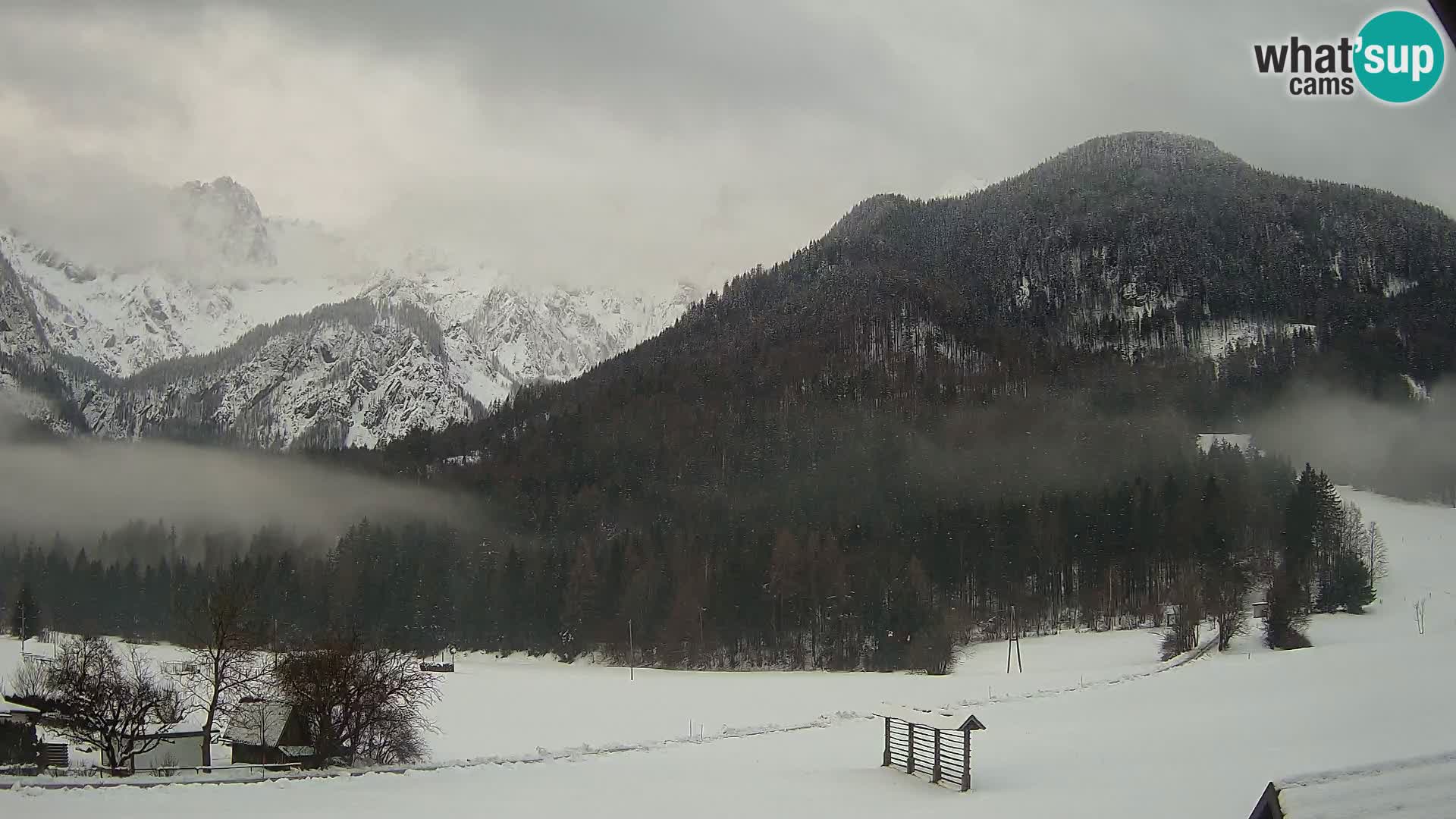 Gozd Martuljek –  planinski lanac Špik