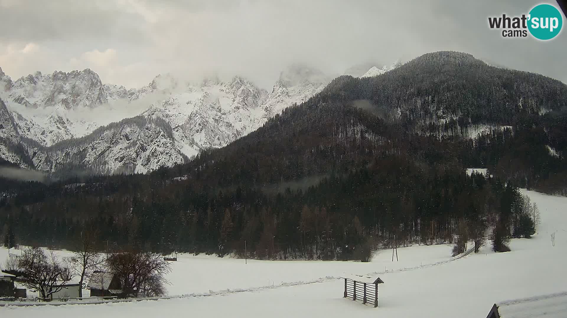 Gozd Martuljek – Špik Mountain Group