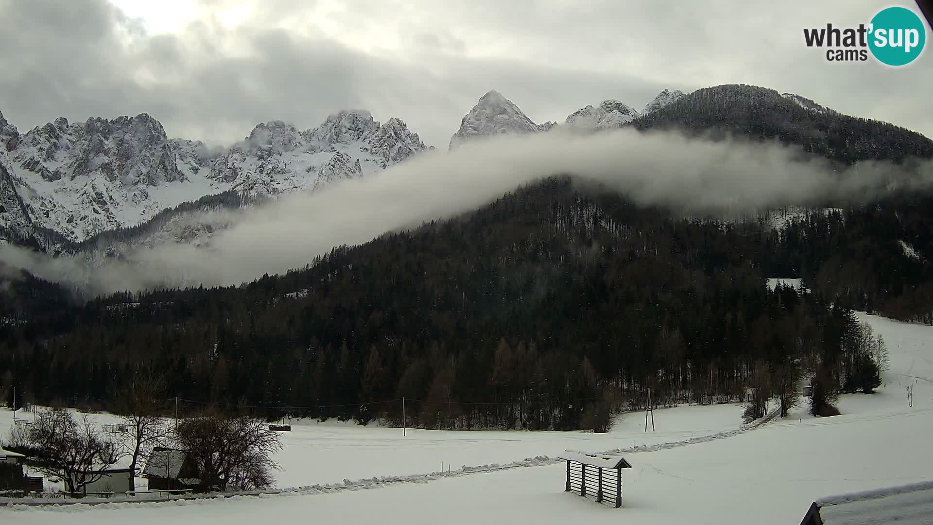 Gozd Martuljek – Špik Mountain Group