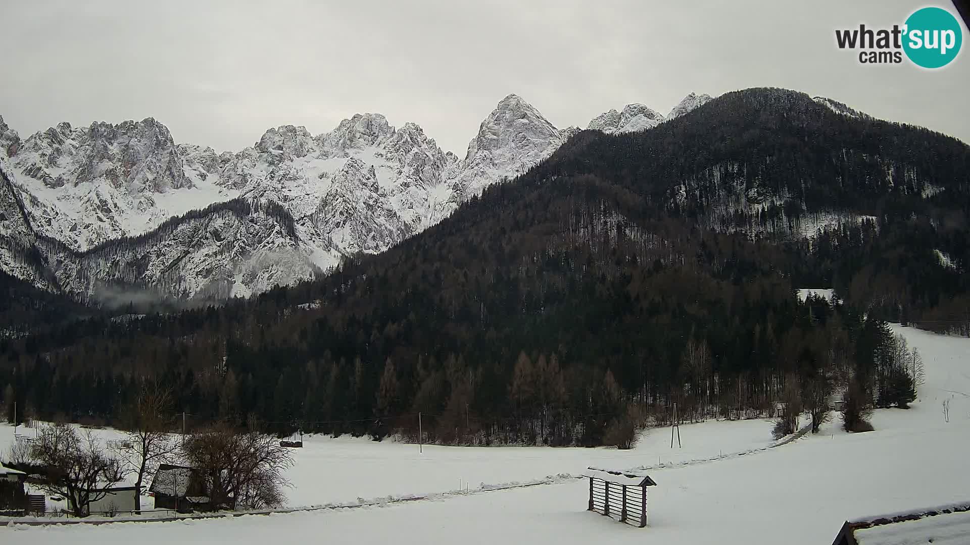 Gozd Martuljek – Špik Mountain Group