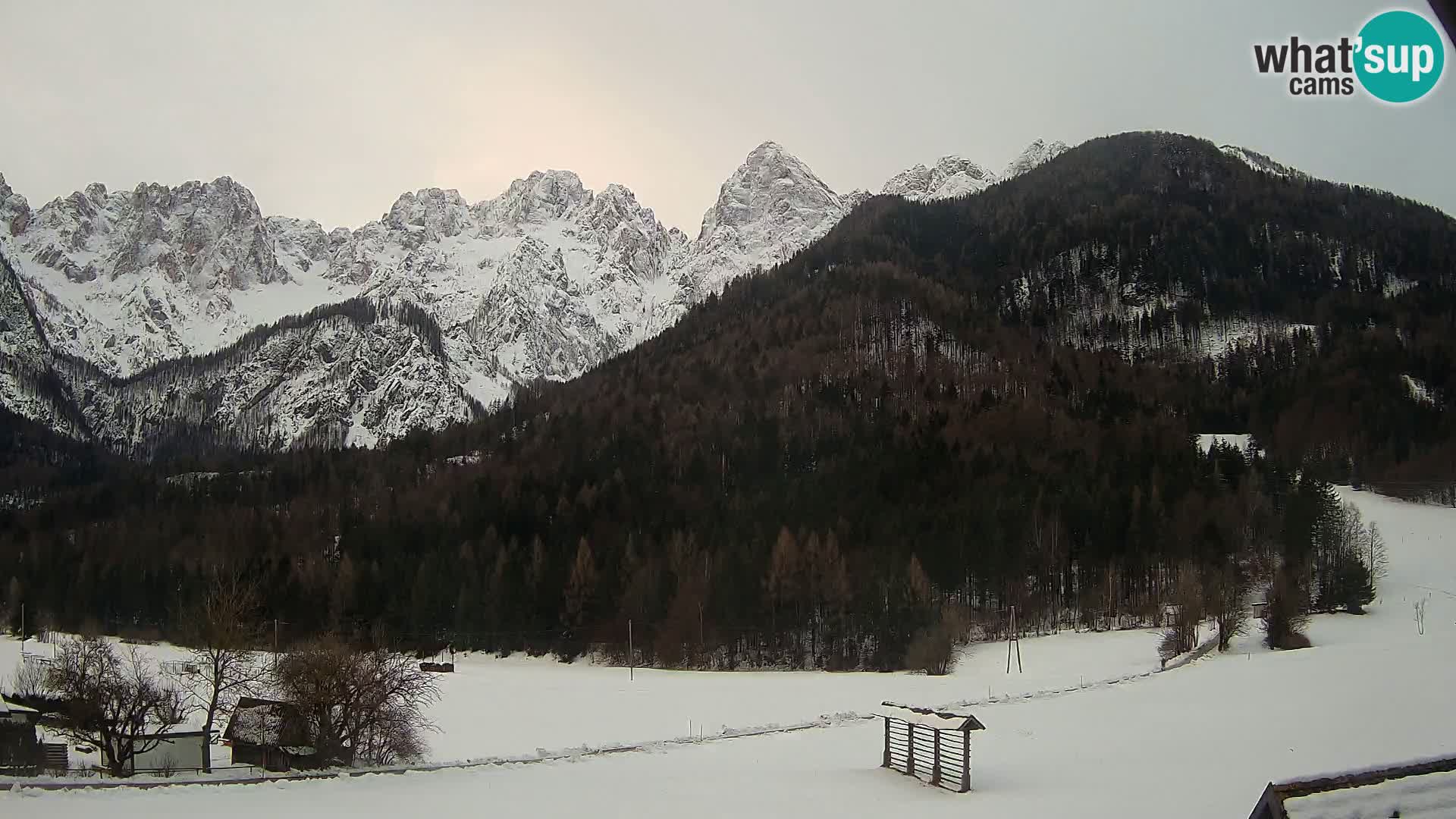 Gozd Martuljek –  planinski lanac Špik