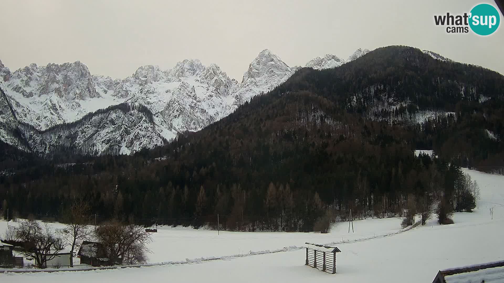 Gozd Martuljek – Špik Mountain Group