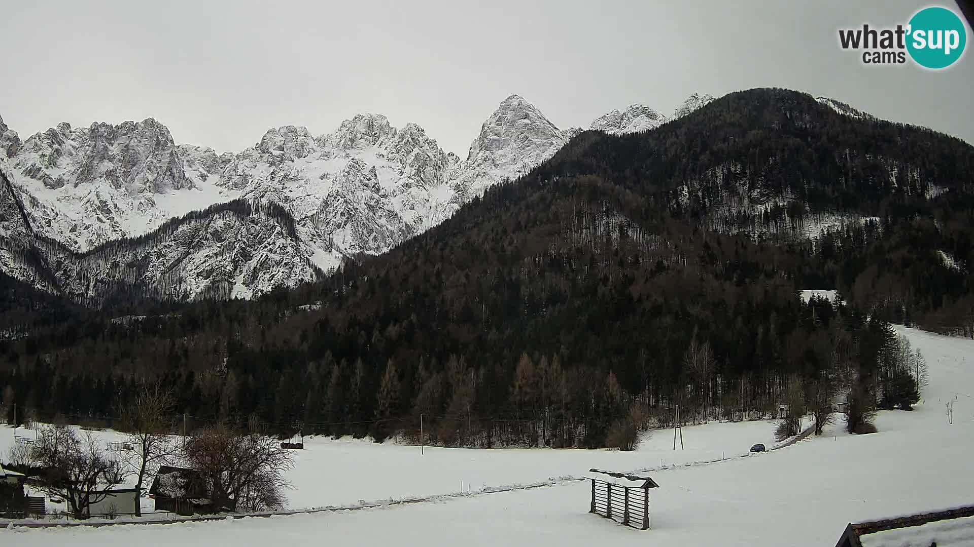 Gozd Martuljek – Špikova skupina