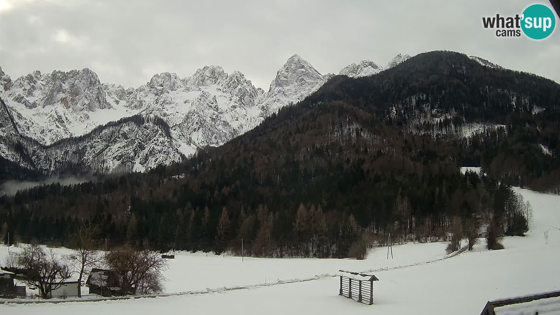 Gozd Martuljek – Špik Mountain Group