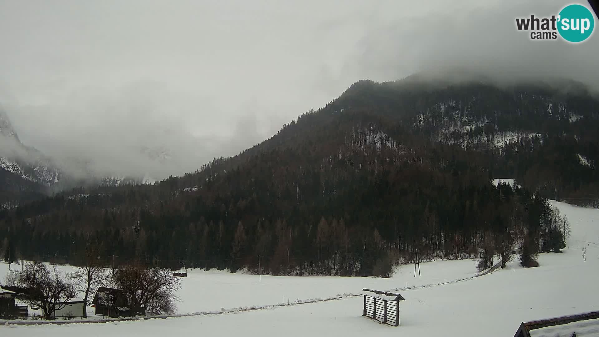 Gozd Martuljek – Špik Mountain Group