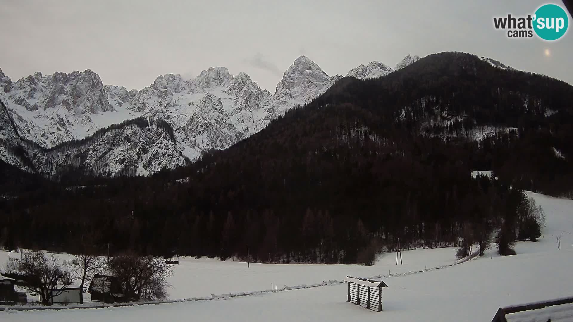 Gozd Martuljek – Špik Mountain Group