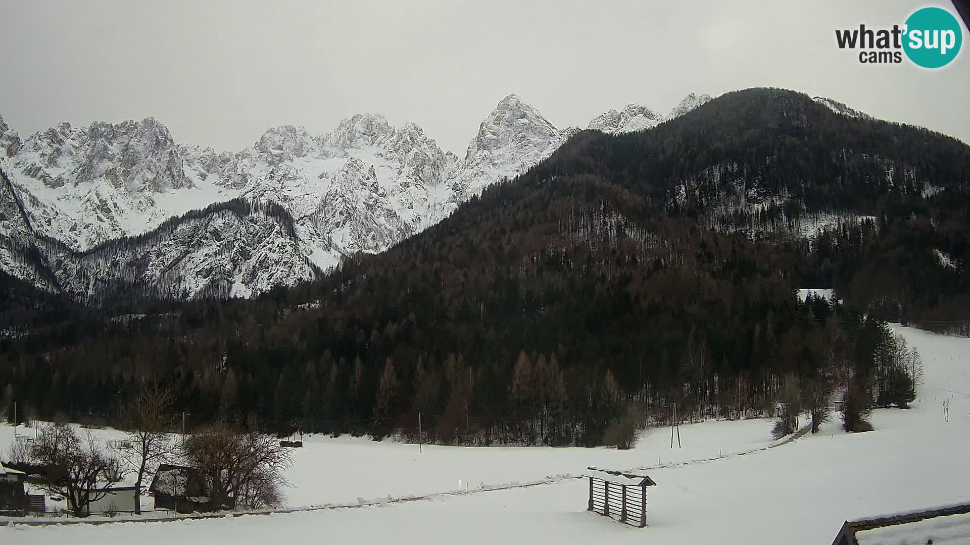 Gozd Martuljek –  planinski lanac Špik