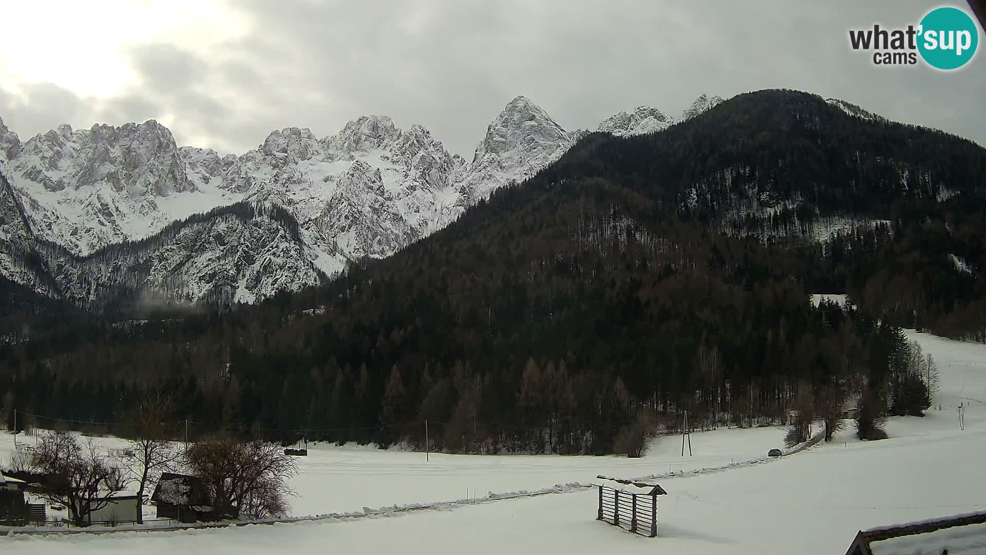 Gozd Martuljek – Špik Mountain Group