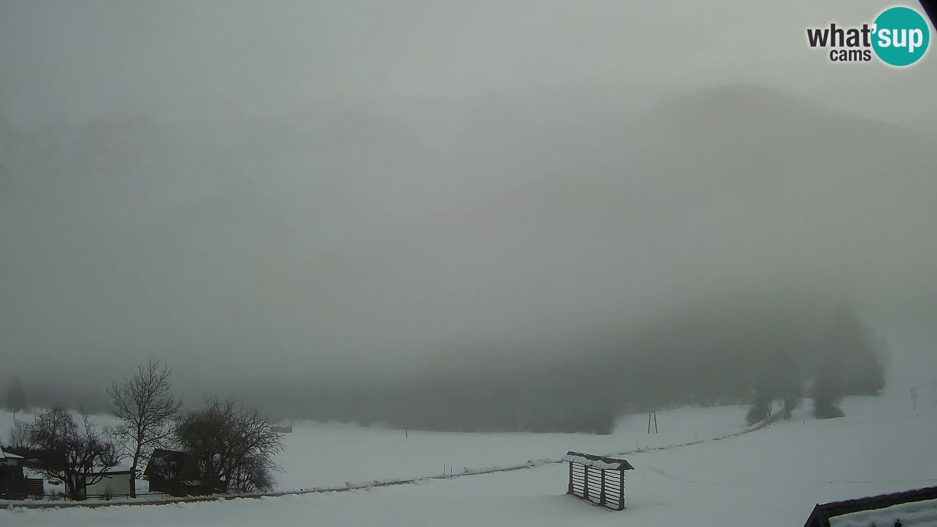 Gozd Martuljek – Špikova skupina