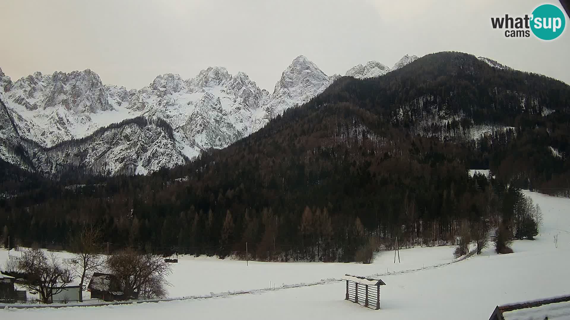 Gozd Martuljek – Špik Mountain Group