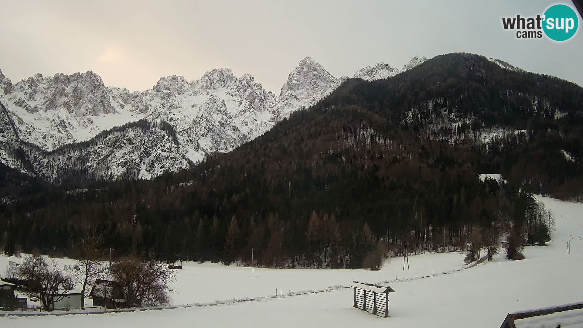 Gozd Martuljek – Špikova skupina