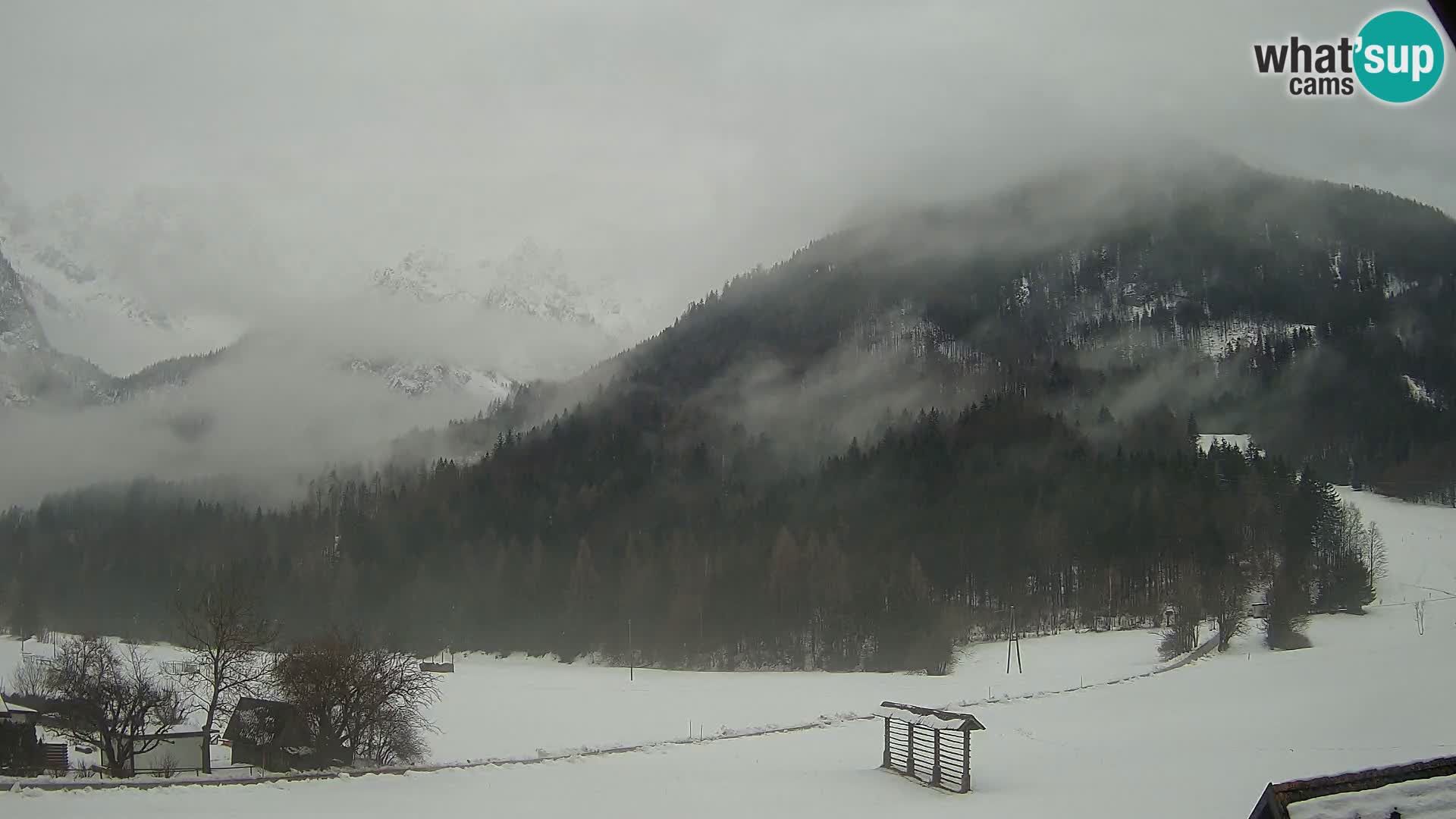 Gozd Martuljek – Špik Mountain Group